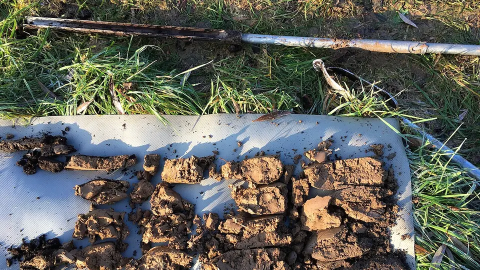 Torroes de solo alinhados na calha depois da tradagem feita no campo