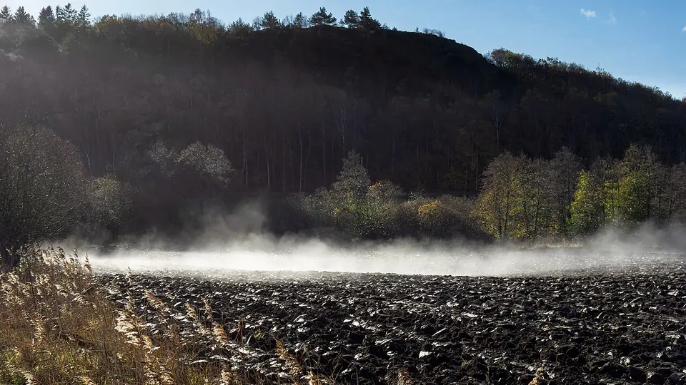 Lavoura arada de solo escuro com neblina da manhã sobre o terreno