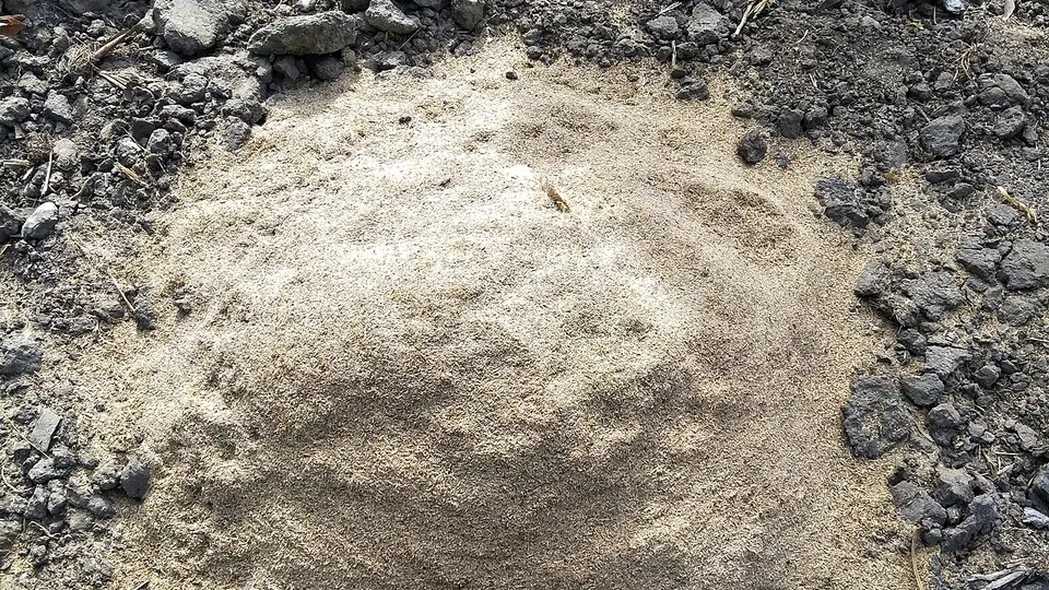 Monte de fertilizante granulado branco despejado sobre o chão