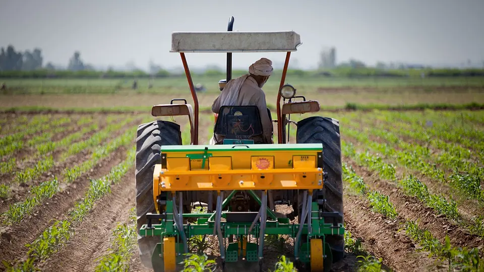 Trator com implemento de aplicacao de fertilizante em lavoura jovem em linhas