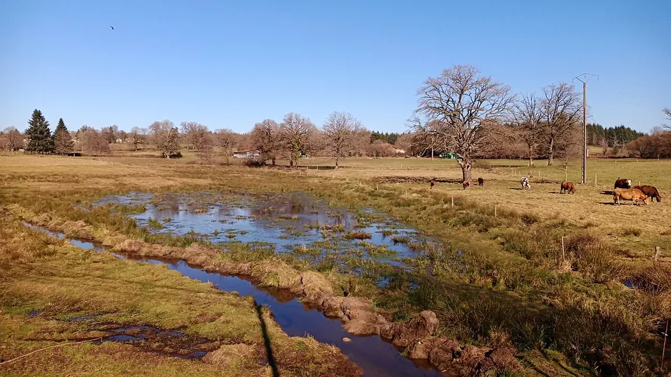 Campo encharcado com água empoçada e um canal rasgando o terreno