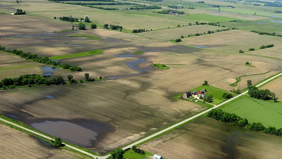 Vista aerea de talhoes agricolas divididos por estradas e cercas vivas