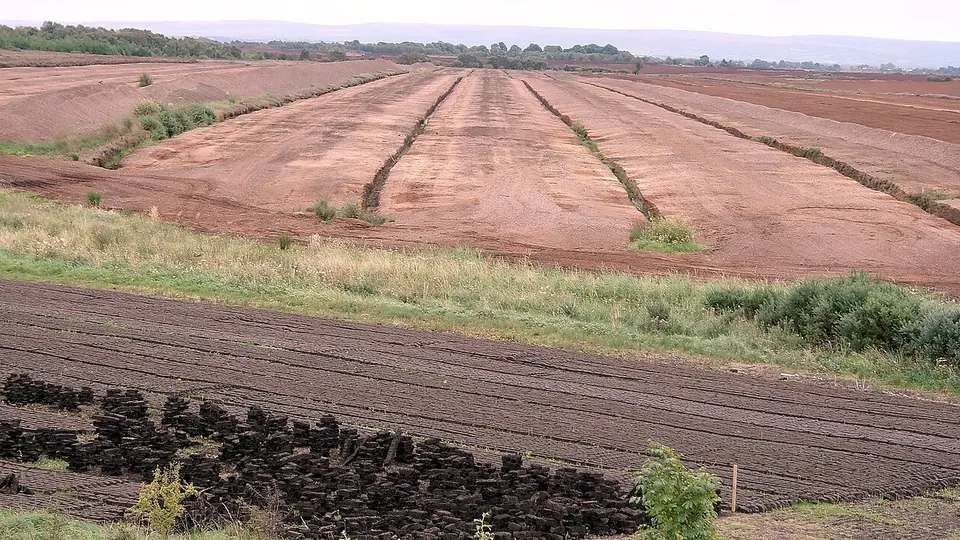 Campo de extração de turfa com faixas largas de material escuro