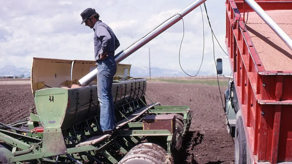 Agricultor abastecendo a caixa de adubo da semeadeira na lavoura