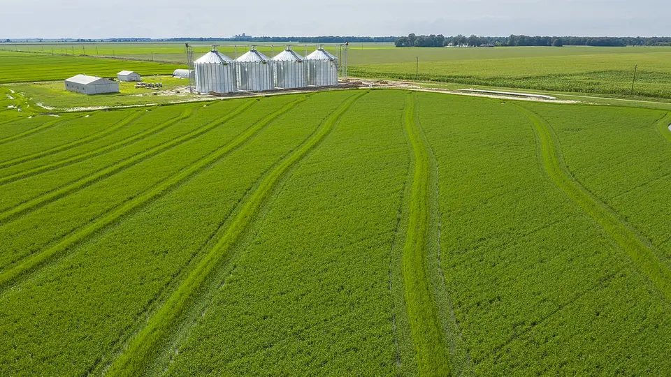 Vista aérea de lavoura verde com rastros de pulverização e silos metálicos ao fundo