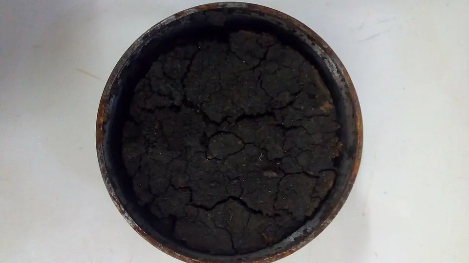 Amostra de solo escuro e rachado vista de cima dentro do recipiente