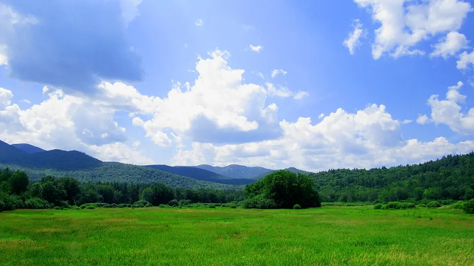 Campo verde com mata e serra ao fundo sob céu azul com nuvens