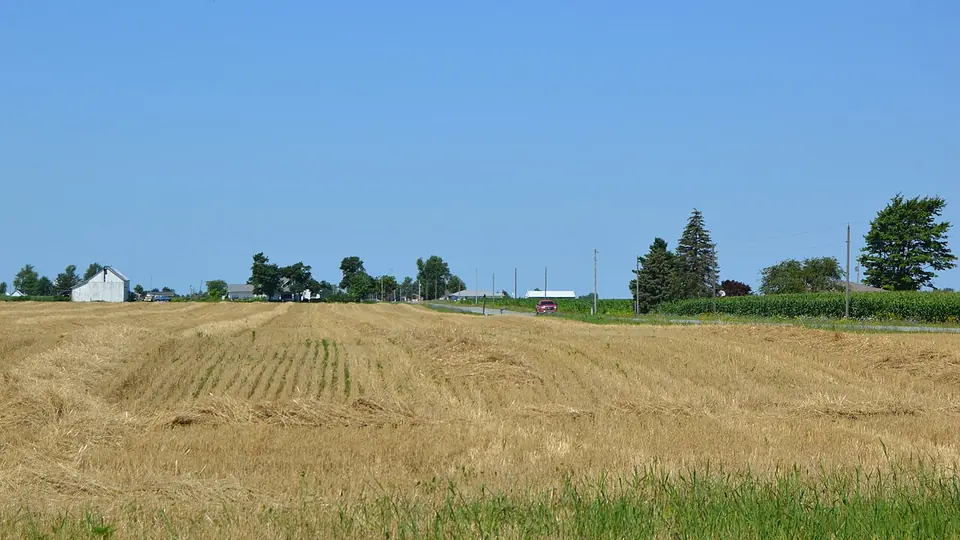 Campo coberto por restolho dourado da colheita com sede de fazenda ao fundo