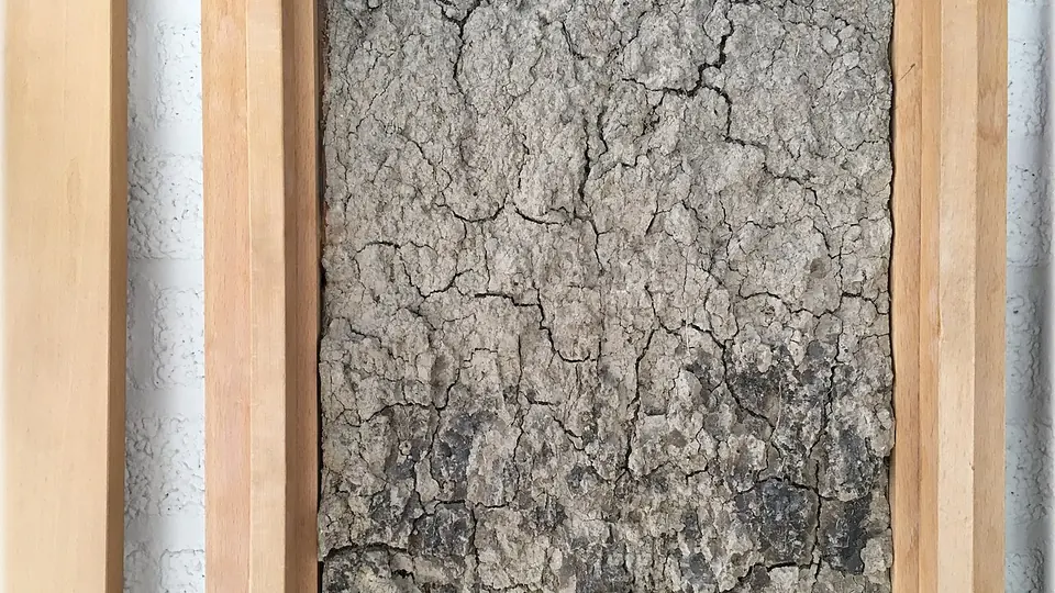 Perfil de solo em argila cinza rachada com as camadas visíveis da superfície ao fundo