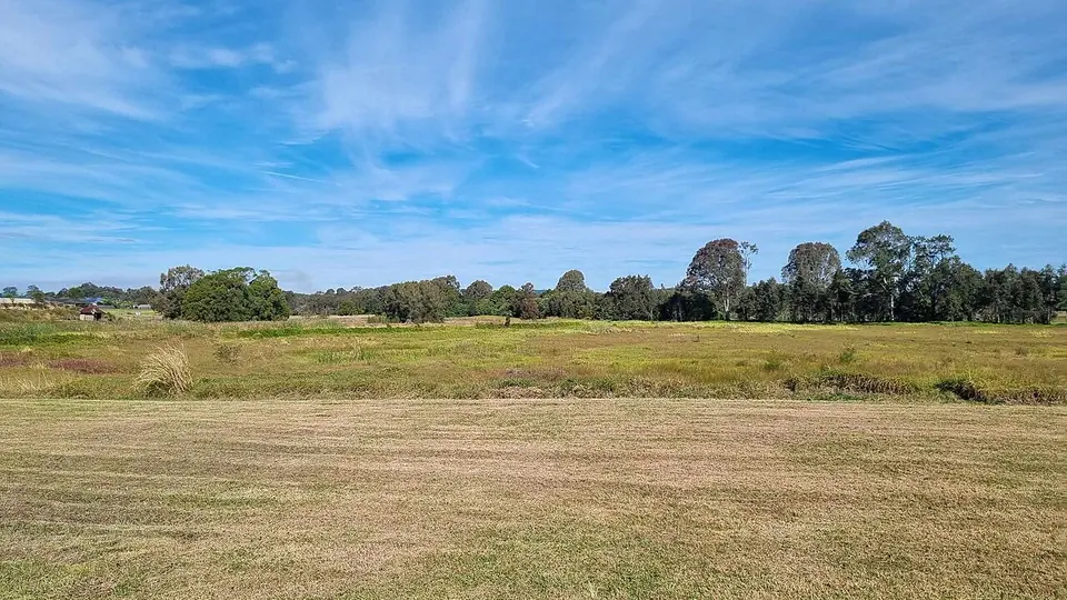 Pasto seco e ralo com solo aparecendo entre as touceiras