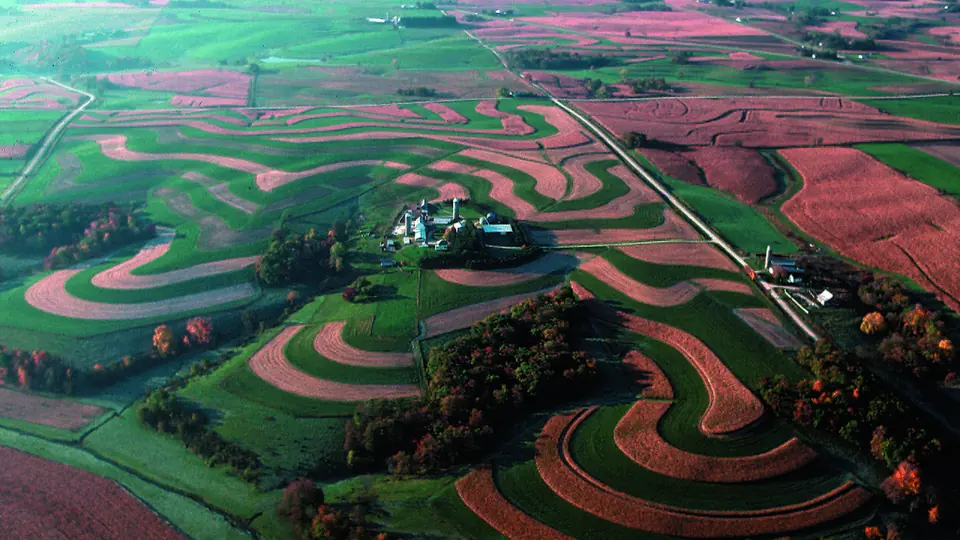 Vista aérea de faixas de culturas diferentes seguindo as curvas de nível