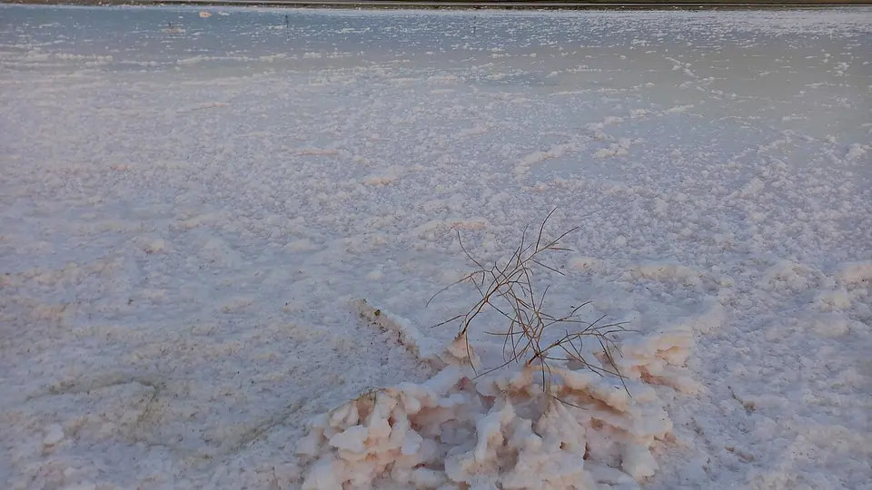 Crosta branca de sal cobrindo a superficie encharcada do solo