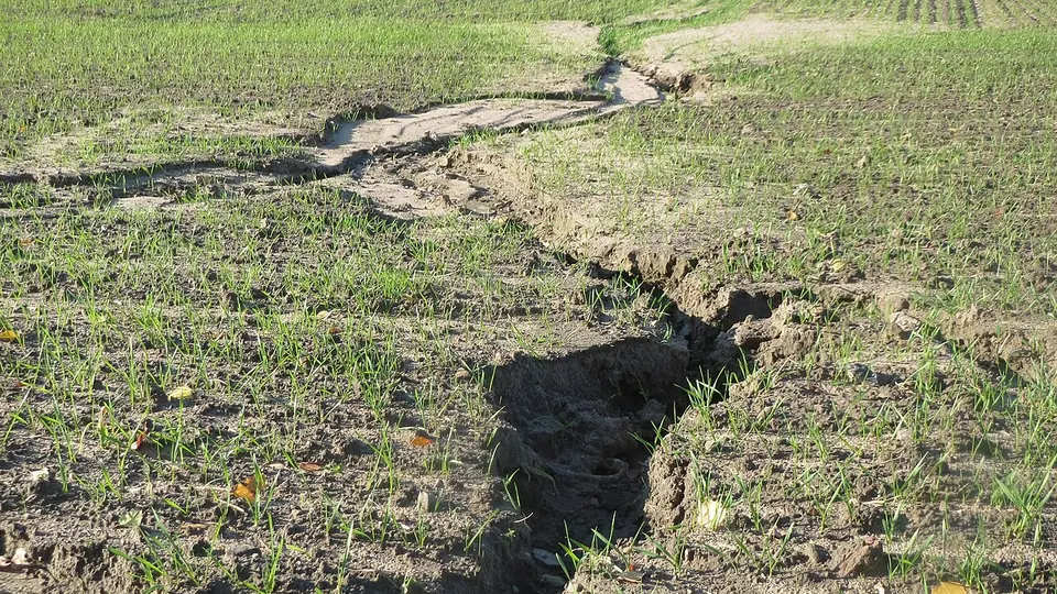 Sulco de erosao aberto no solo de uma lavoura recem-semeada