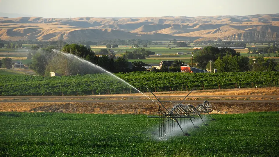 Aspersor lançando jato de água de irrigação sobre a lavoura verde no vale
