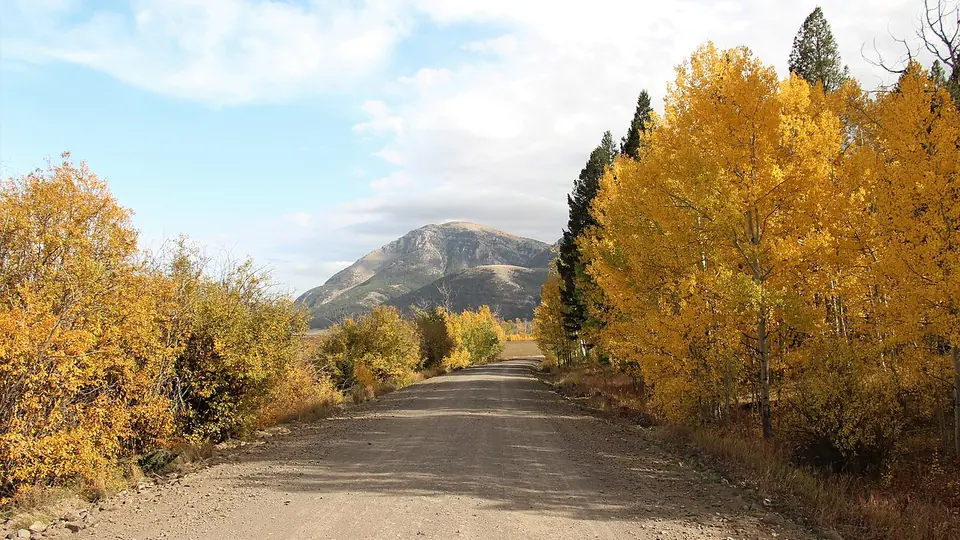 Estrada de terra entre árvores de folhagem amarela, com montanhas ao fundo