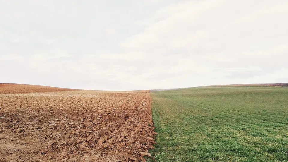 Campo com faixa de solo arado ao lado de lavoura verde