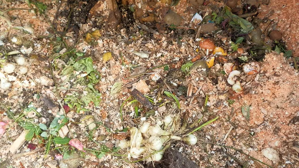 Restos orgânicos em decomposição formando composto, com cascas e folhas