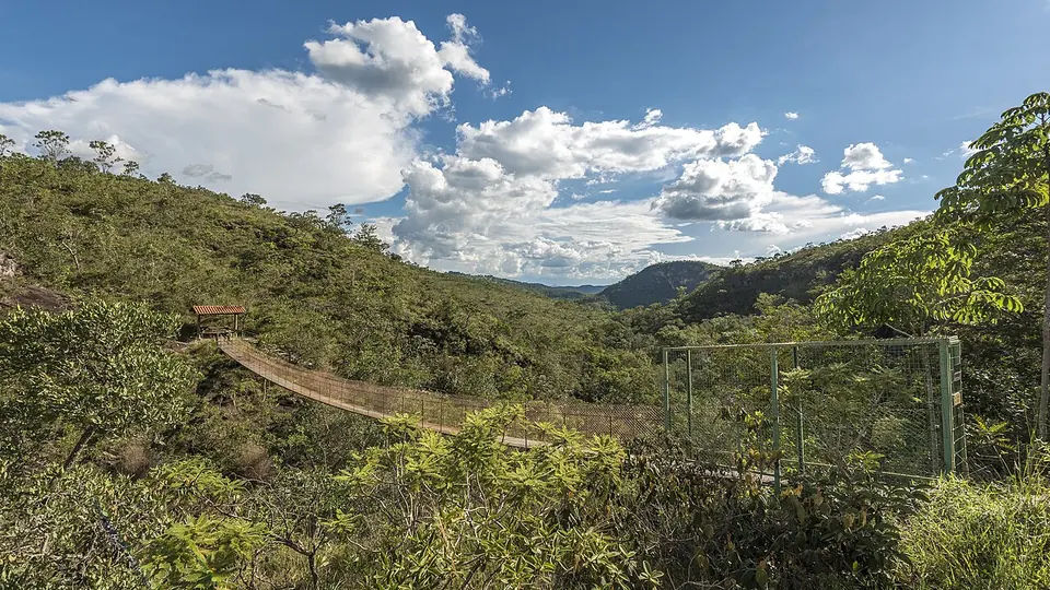 Paisagem de cerrado com vegetação densa e morros ao fundo sob céu de nuvens