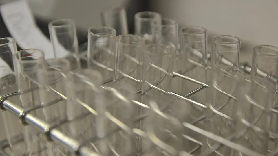 Fileira de tubos de ensaio de vidro sobre bancada de laboratório
