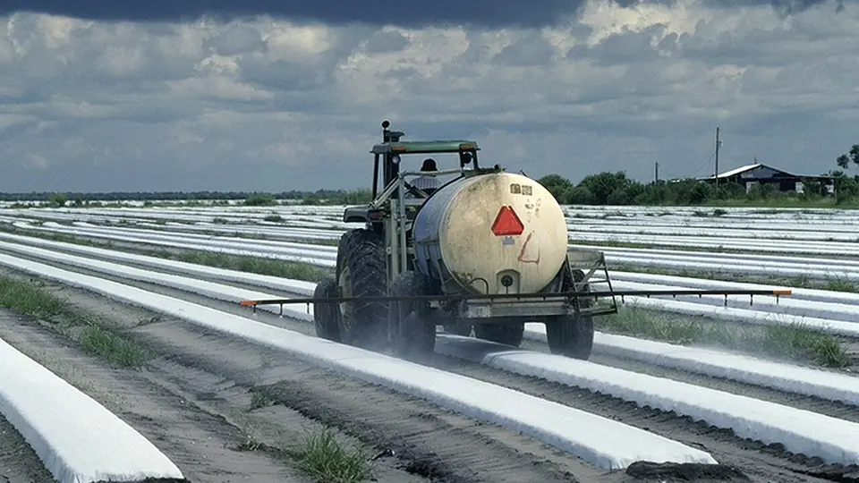 Trator com tanque aplicando calda sobre as linhas da lavoura